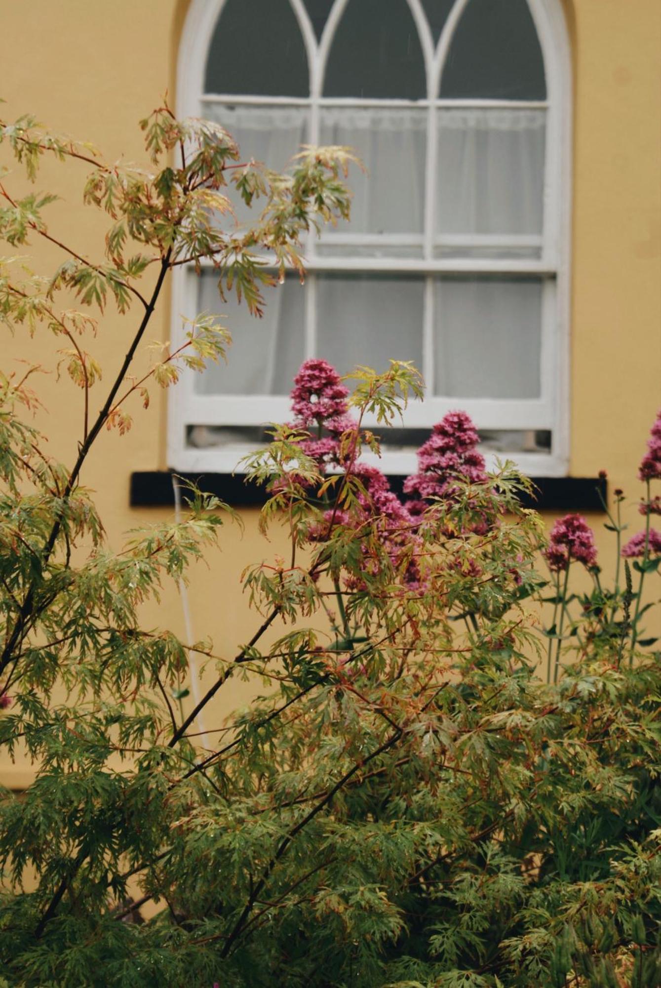 ブリックハム Ranscombe House Bed & Breakfast エクステリア 写真